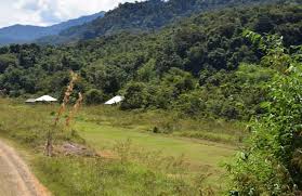 Bandar Udara Long Alango