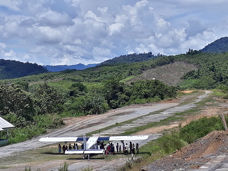 Bandar udara Long Pujungan